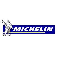 Michelin 9503 Michelin Doppel-Fussluftpumpe