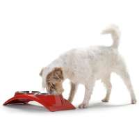 Hunter 92284 Elegance Hundenapf