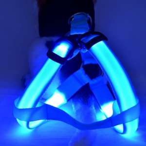 Hundegeschirr mit LED