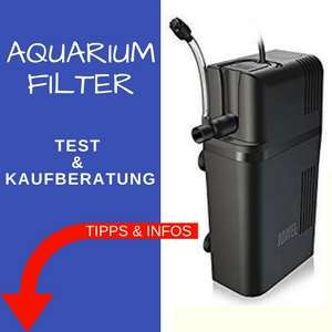 Aquarium Filter Test und Kaufberatung