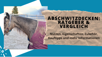 Abschwitzdecken: Ratgeber und Vergleich