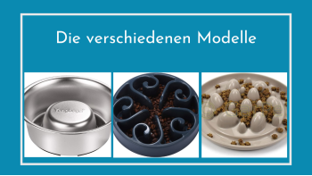 Antischlingnapfmodelle