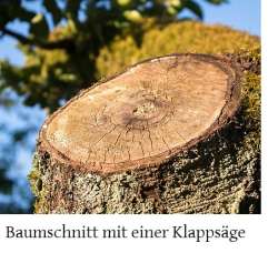 Baumschnitt mit einer Klappsäge