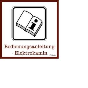 Bedienung eines Elektrokamins