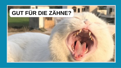 Hilft TroFu den Zähnen?