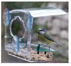 Blaumeise im Fensterfutterhaus