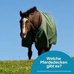 Pferdecken-Modelle