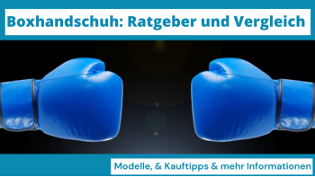 Boxhandschuh: Ratgeber und Vergleich