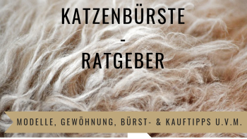 Katzenbürste Ratgeber