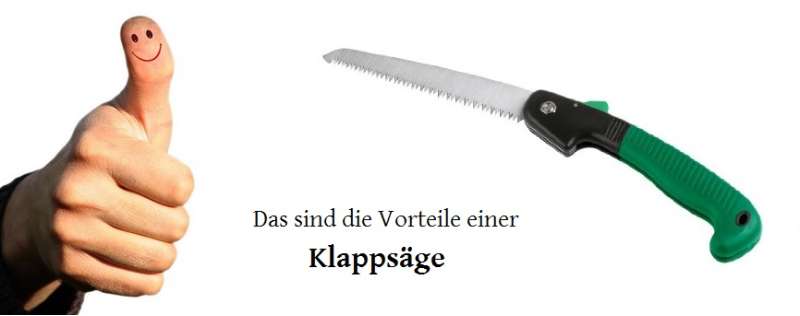 Das sind die Vorteile einer Klappsäge