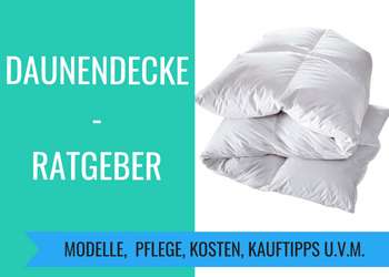 Dauendecke Ratgeber