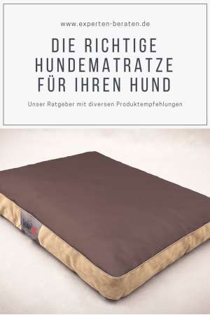 Die richtige Hundematratze für Ihren Hund