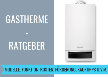 Gastherme-Ratgeber