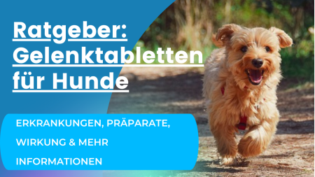 Gelenktabletten für Hunde Ratgeber