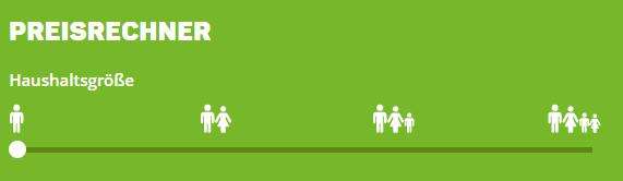 Greenpeace Energy Preisrechner