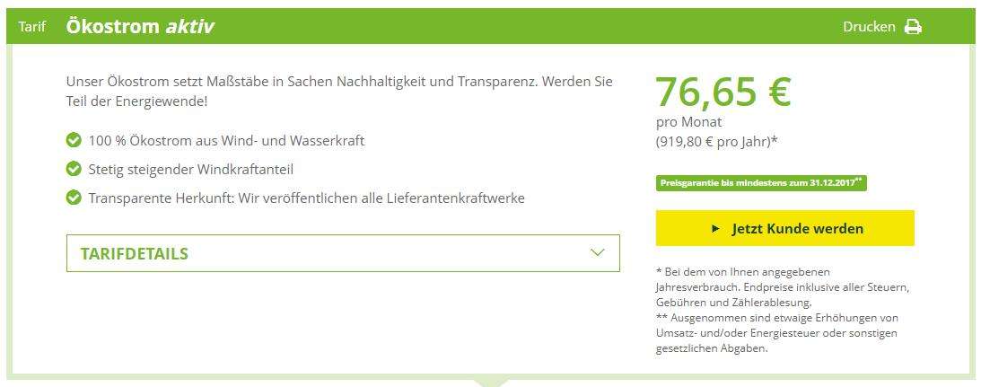 Greenpeace Energy Tarif 1 (Screenshot greenpeace-energy.de) 