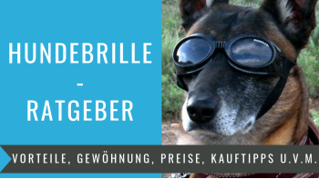 PetPhindU Hundebrille Hundegesichtsmaske Hundebrillen Weicher Rahmen Wind/Wasser/Schnee/Uv Proof Hundesonnenbrillen für Large Medium Hunde PetPhindU Hundebrille Hundegesichtsmaske Hundebrillen Weicher Rahmen Wind/Wasser/Schnee/Uv Proof Hundesonnenbrillen für Large Medium Hunde