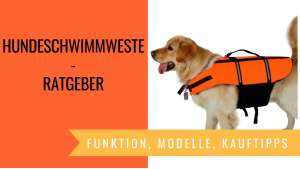 Hundeschwimmweste Ratgeber
