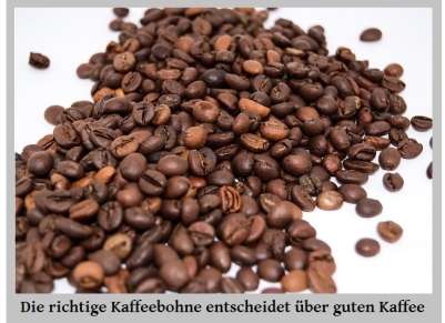 Kaffeebohne für perfekten Kaffee