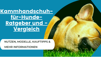 Kammhandschuh-für-Hunde-Ratgeber