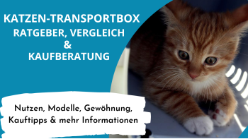 Katzen Transportbox Ratgeber