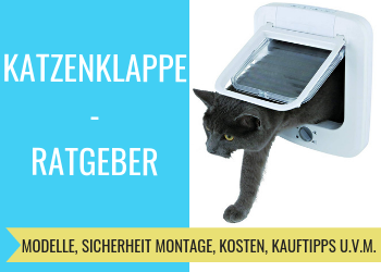 Katzenklappe Ratgeber