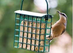 Kleiber am Energieblockhalter