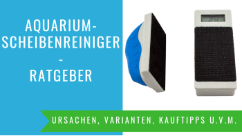 Aquarium Scheibenreiniger Test und Kaufberatung