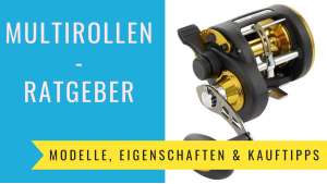 Multirollen Ratgeber