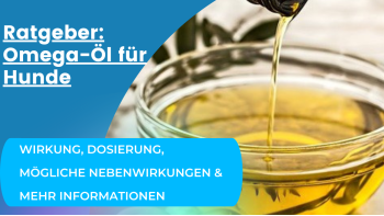 Was kann Omega-Öl für Hunde tun?