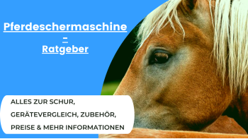Pferdeschermaschinen-Ratgeber & Vergleich