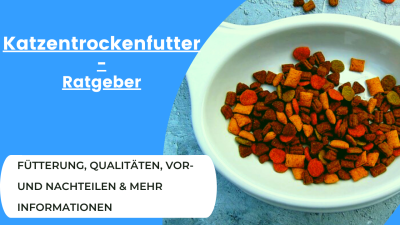 Katzentrockenfutter - alle Informationen bei uns