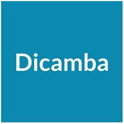Dicamba