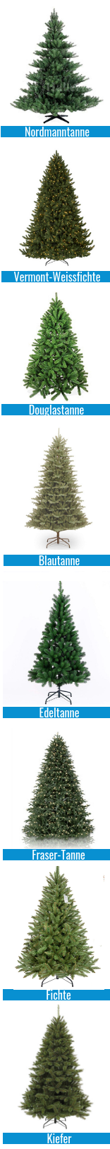 Verschiedene Tannenarten
