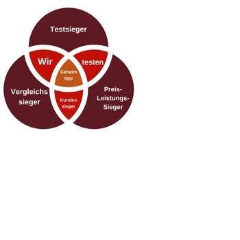 Wir testen elektrische Kaminöfen