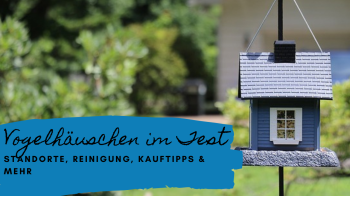 Vogelhäuschen Ratgeber