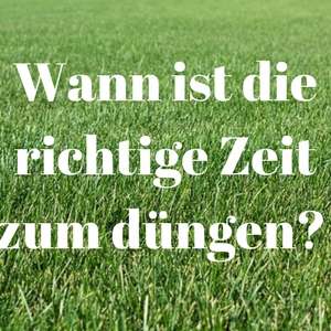 Wann ist die richtige Zeit zum Rasen dünger
