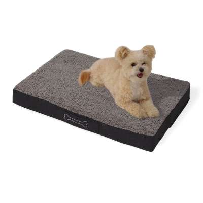 Was Sie über Hundematratzen wissen sollten