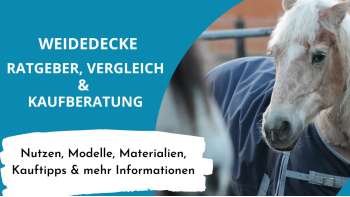 Weidedecke Ratgeber und Vergleich