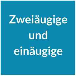 Zweiäugige und einäugige Spiegelreflexkameras