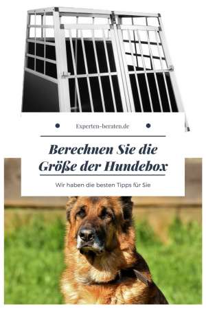 Wir zeigen Ihnen wie Sie schnell und einfach die Größe der Hundetransport-Box für Ihren Hund berechnen können