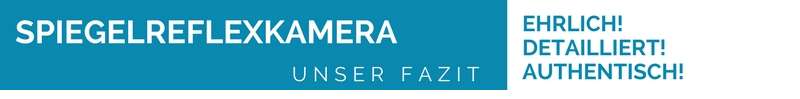 Fazit zum Ratgeber Spiegelreflexkameras