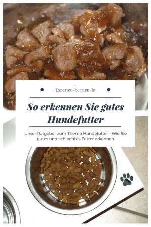 So erkennen Sie gutes und schlechtes Hundefutter