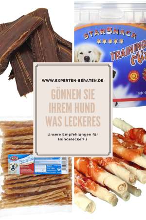 Hundeleckerlis - Gönnen Sie Ihrem Hund mal was leckeres