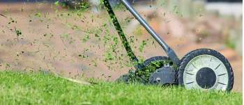 Rasen richtig vertikutieren