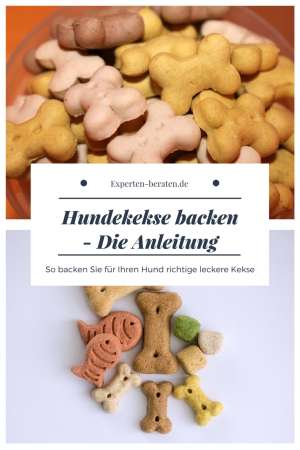 So backen Sie richtig leckere Hundekekse - Zur Schritt für Schritt Anleitung