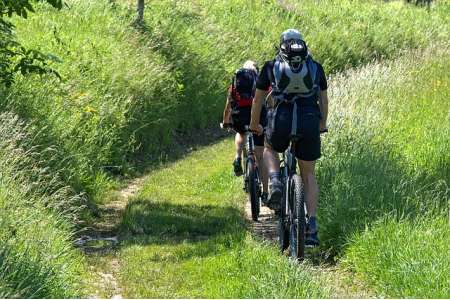 Mountainbike Test und Ratgeber