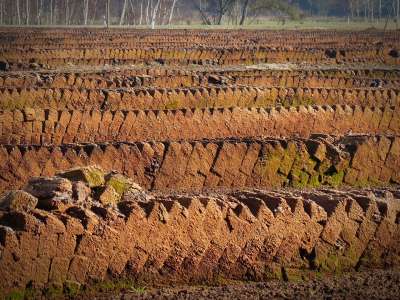 Was ist eigentlich Blumenerde?