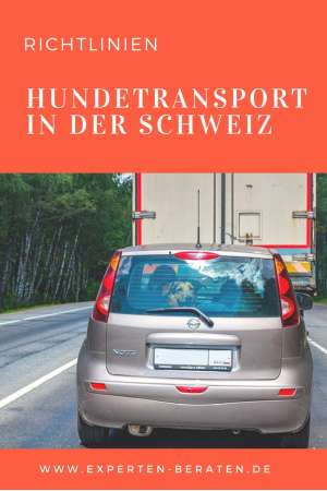 So transportieren Sie Ihren Hund in der Schweiz - Die wichtigsten Hundetransportlinien für die Schweiz