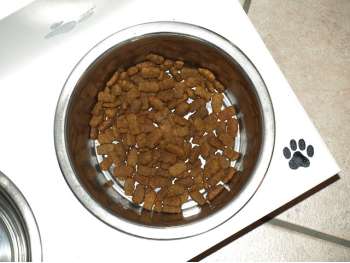 Trockenfutter für Hunde